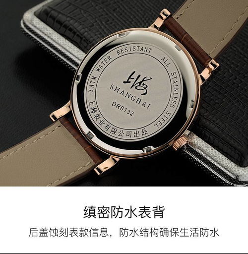 上海牌0132情侣腕表 简约商务中的时光流转